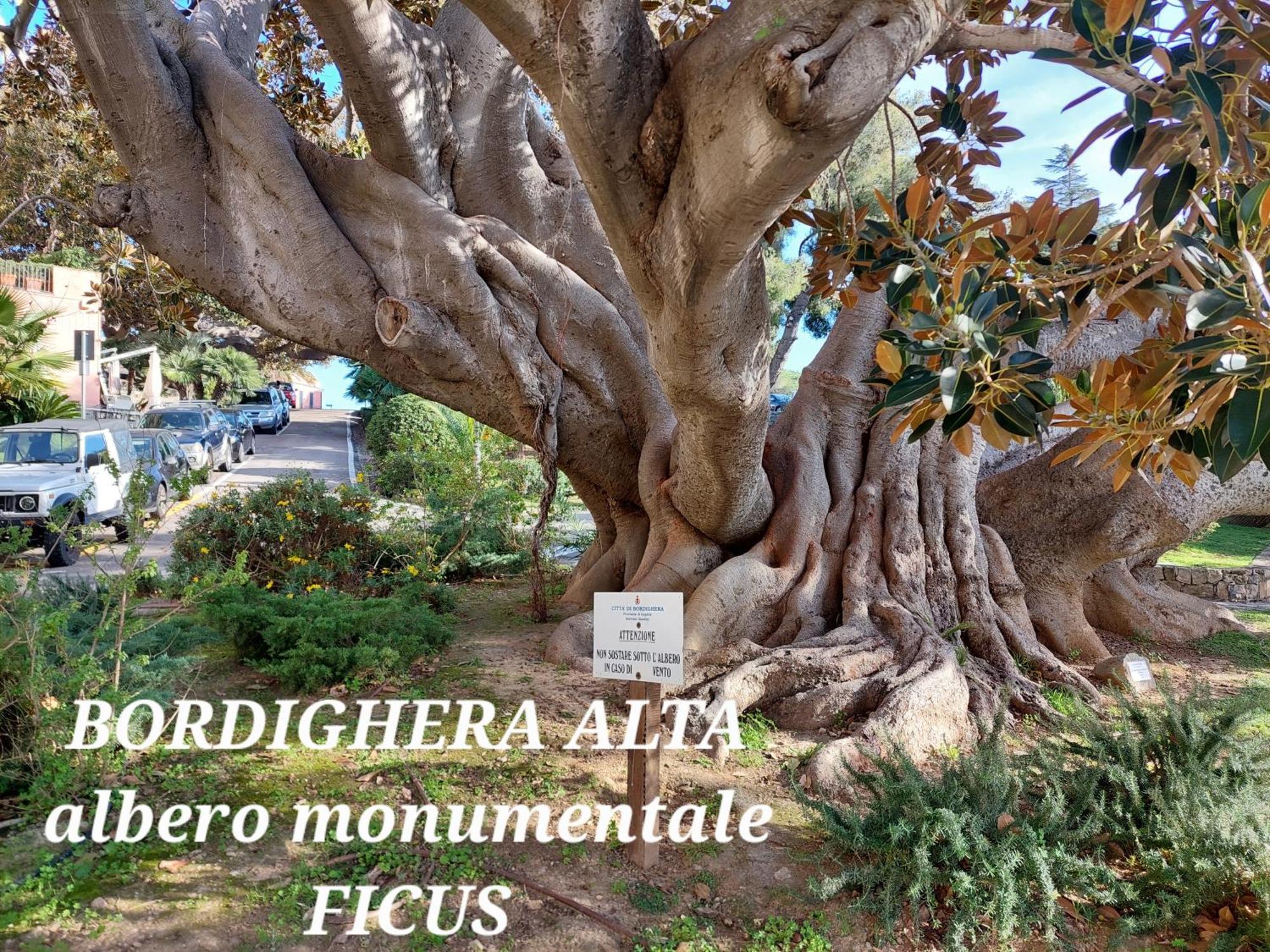 Emozioni Casa Vista Mare Bordighera Exterior photo